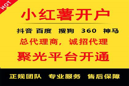 某某SEM服务公司成功案例：从数据出发的营销策略